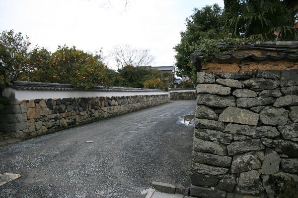 d0152960_2020562.jpg