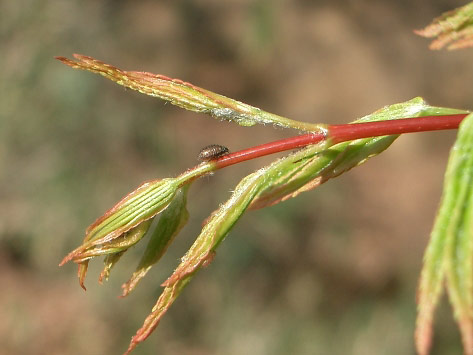 e0064461_22182135.jpg