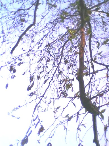 e0031572_6175787.jpg