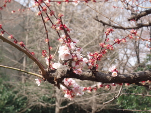 f0045872_21164041.jpg