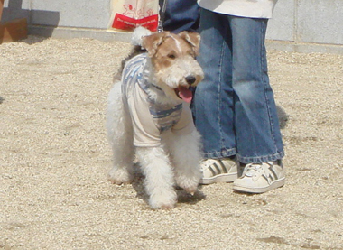 b0091373_23485234.jpg