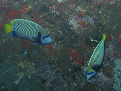a0002177_22551438.jpg