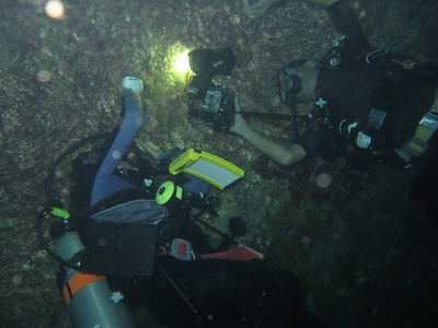 a0002177_22561195.jpg