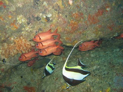 a0002177_2351310.jpg