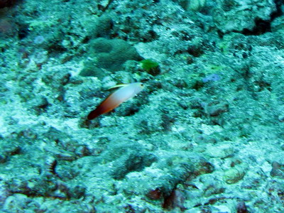 a0002177_2371045.jpg