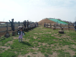 c0105177_17325077.jpg