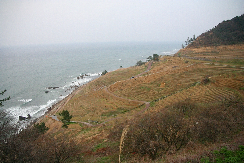 e0024081_20185537.jpg