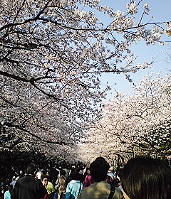 a0063390_21524541.jpg