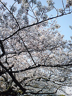 a0063390_2153084.jpg