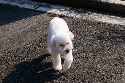 b0104592_2134313.jpg