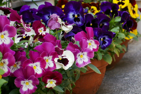 b0104592_2136928.jpg