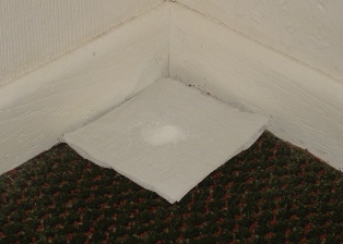 f0144493_6442530.jpg