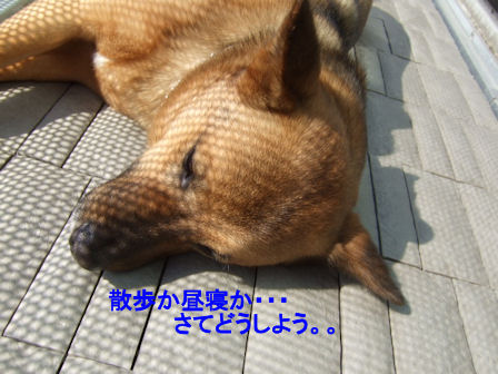 b0087400_0225253.jpg