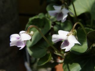 b0061107_2301066.jpg
