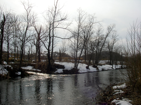 d0051707_20451716.jpg