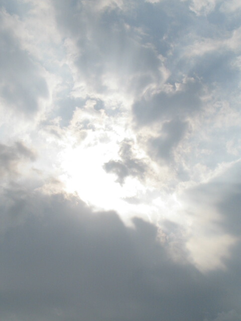 b0118511_0352692.jpg