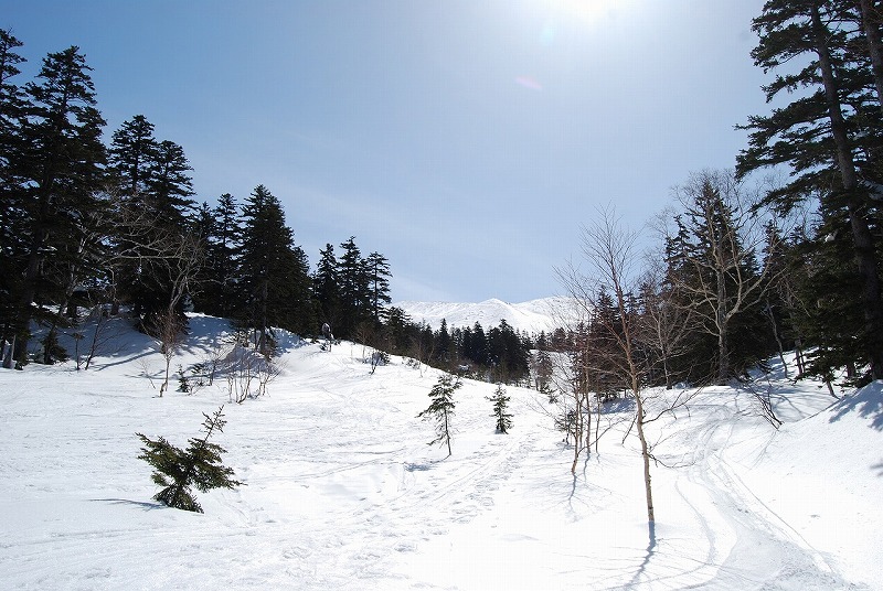 c0153411_9373296.jpg