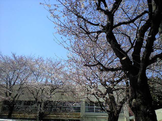 d0149615_2318597.jpg