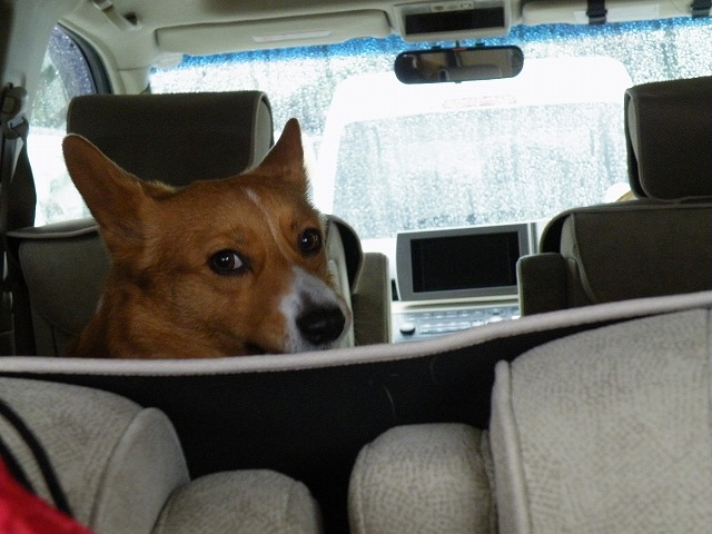 c0127617_2205772.jpg