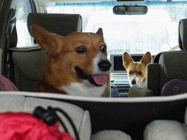c0127617_2212490.jpg