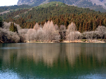 a0092020_943364.jpg