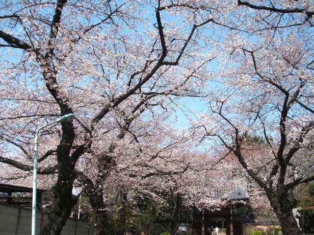b0052523_7203066.jpg