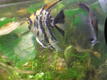 f0128723_0104167.jpg