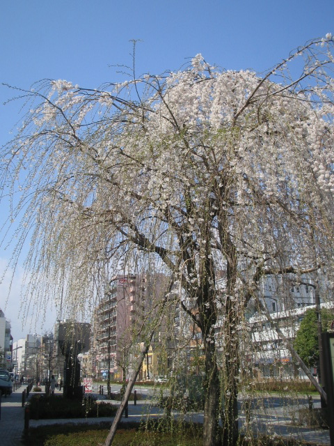 f0107724_15555224.jpg
