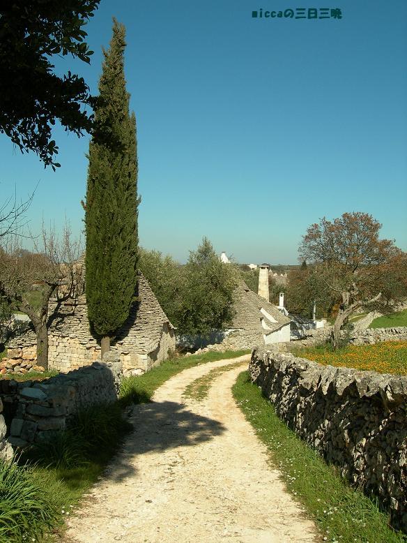 b0129725_21465623.jpg