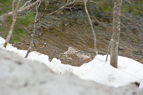 e0025030_16545755.jpg