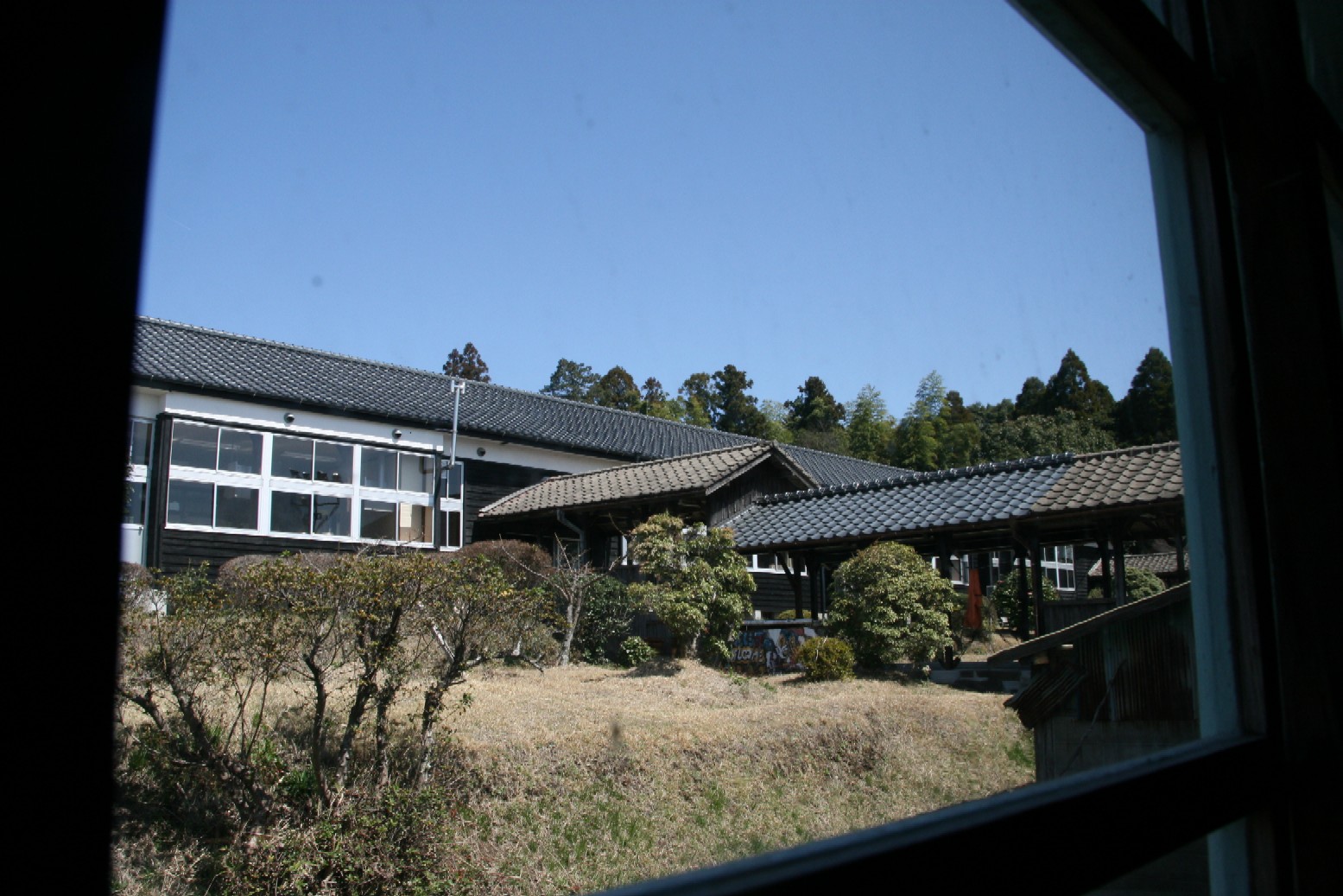 d0140533_166879.jpg