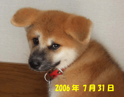 f0008935_15283139.gif