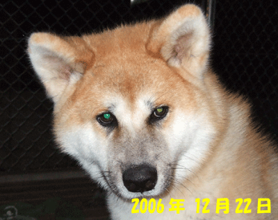 f0008935_15284517.gif