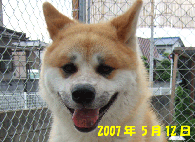 f0008935_15285984.gif