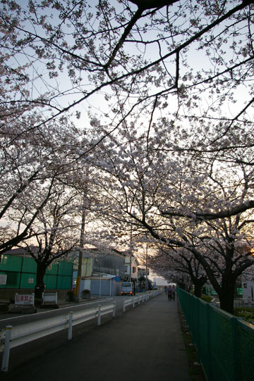 c0039736_1842070.jpg