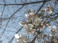 f0143346_021441.jpg