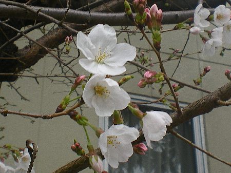 c0042847_0102171.jpg