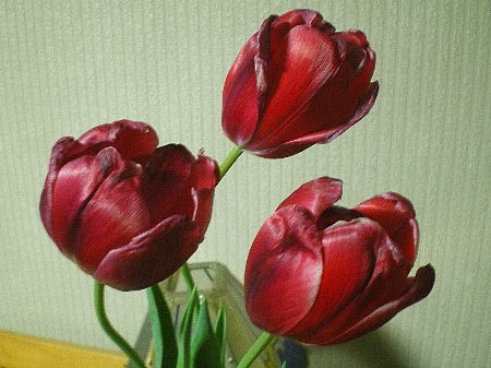 c0042847_010344.jpg