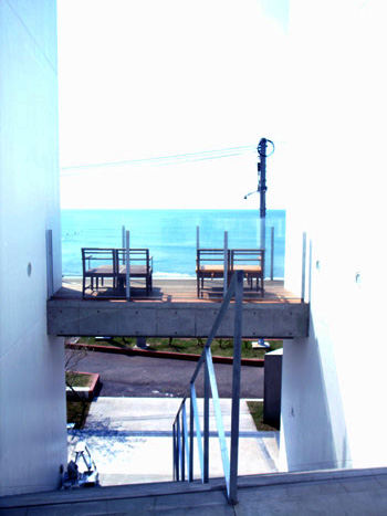 e0052268_1751136.jpg