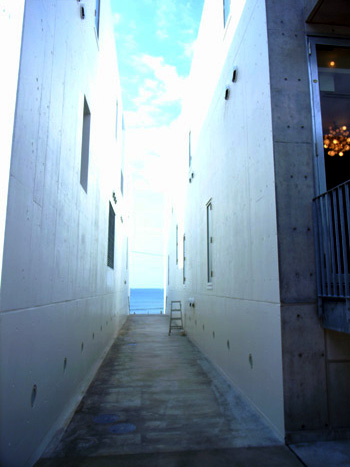 e0052268_17514456.jpg