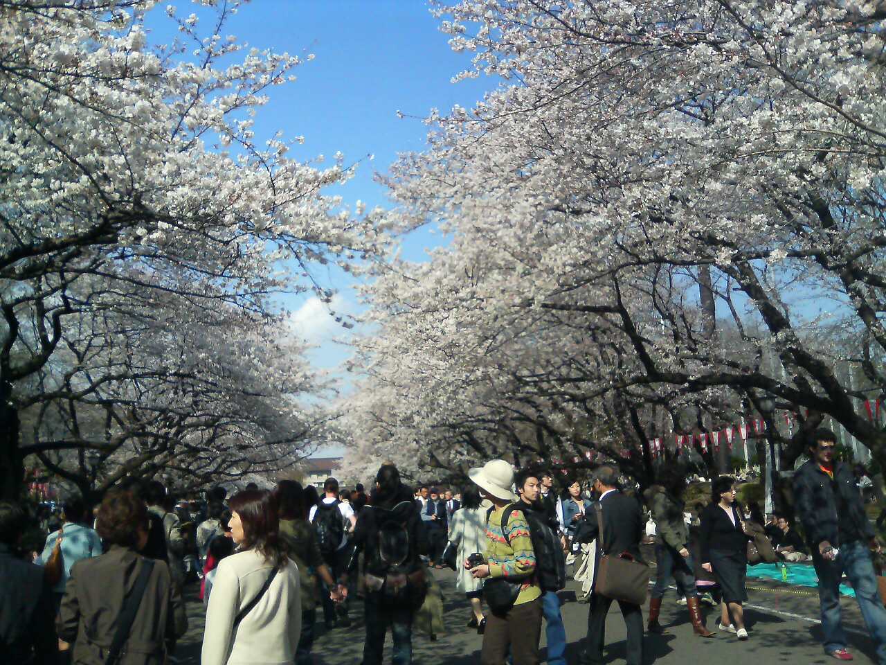 a0095069_1371317.jpg