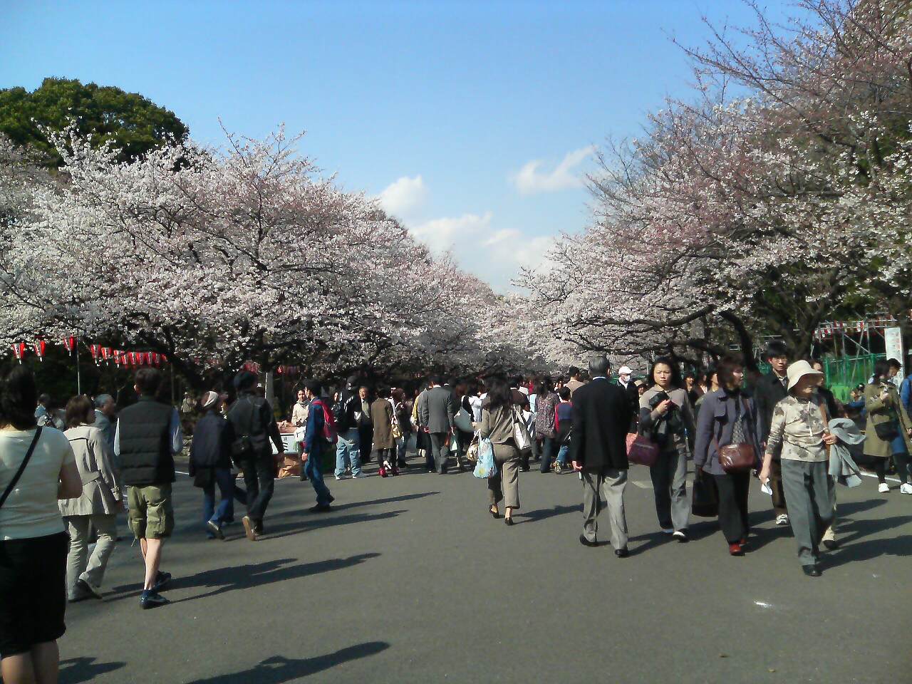 a0095069_137273.jpg