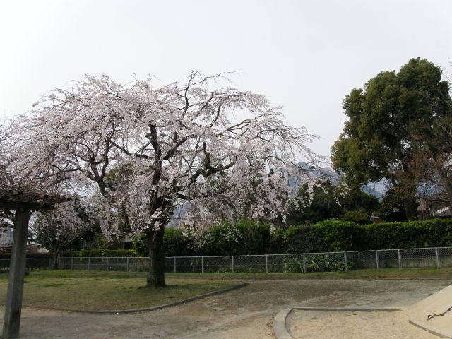 c0042869_21143018.jpg