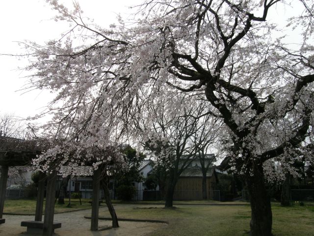 c0042869_21151067.jpg