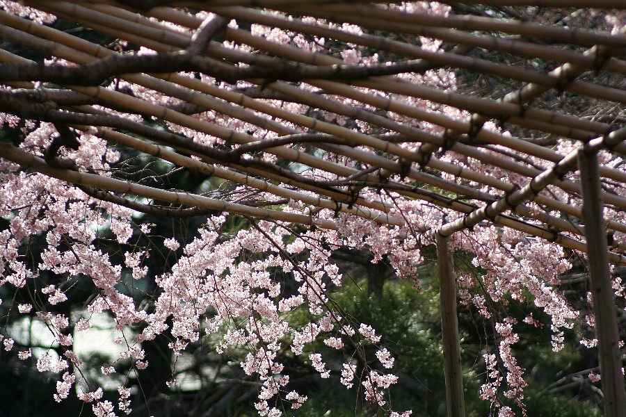 b0084270_0544475.jpg