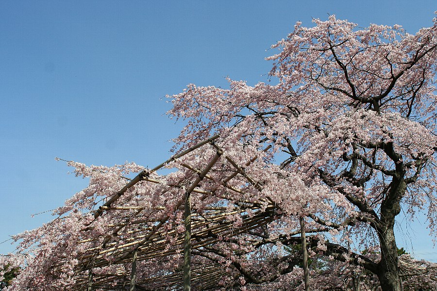 b0084270_054497.jpg