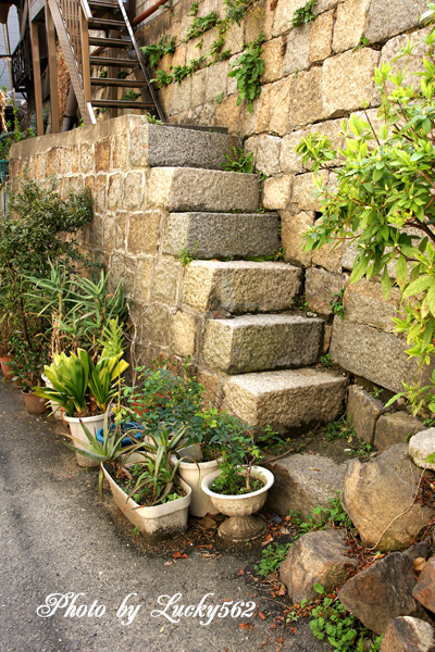e0002371_10123925.jpg