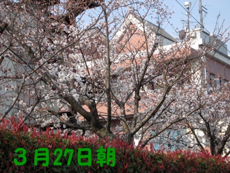f0003174_1421577.jpg