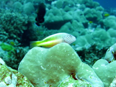 a0002177_21123283.jpg