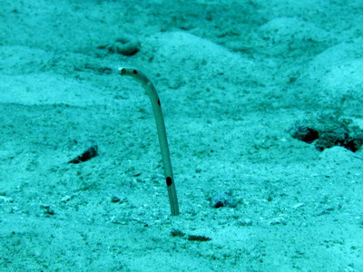 a0002177_2124990.jpg